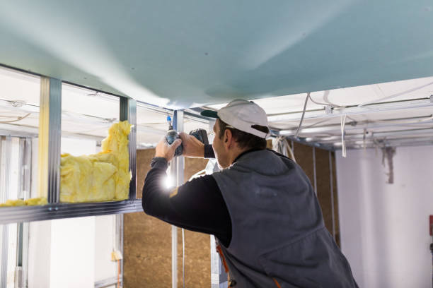 Best Insulation Removal Services  in Kenilworth, PA